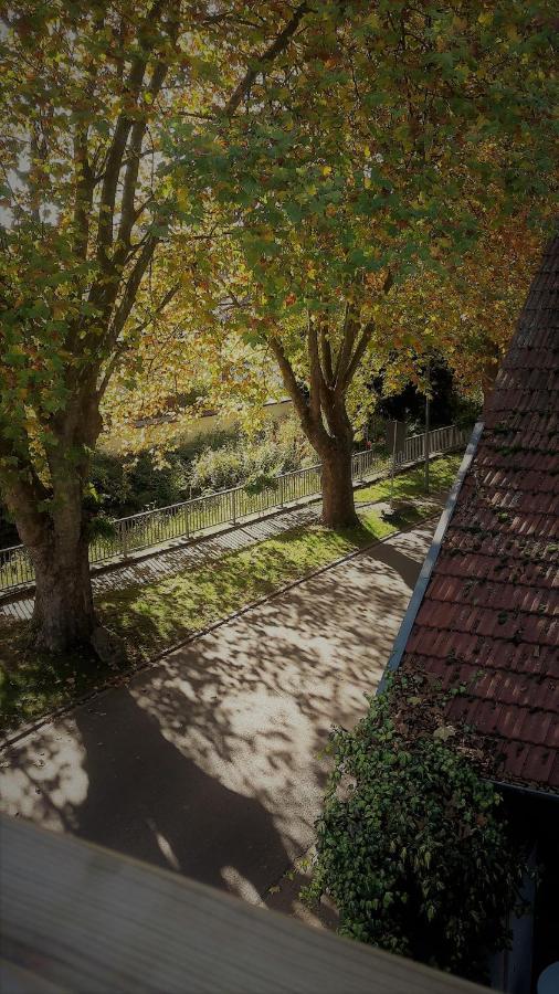 Haus Mit Seele Im Nahetal Weinsheim  المظهر الخارجي الصورة
