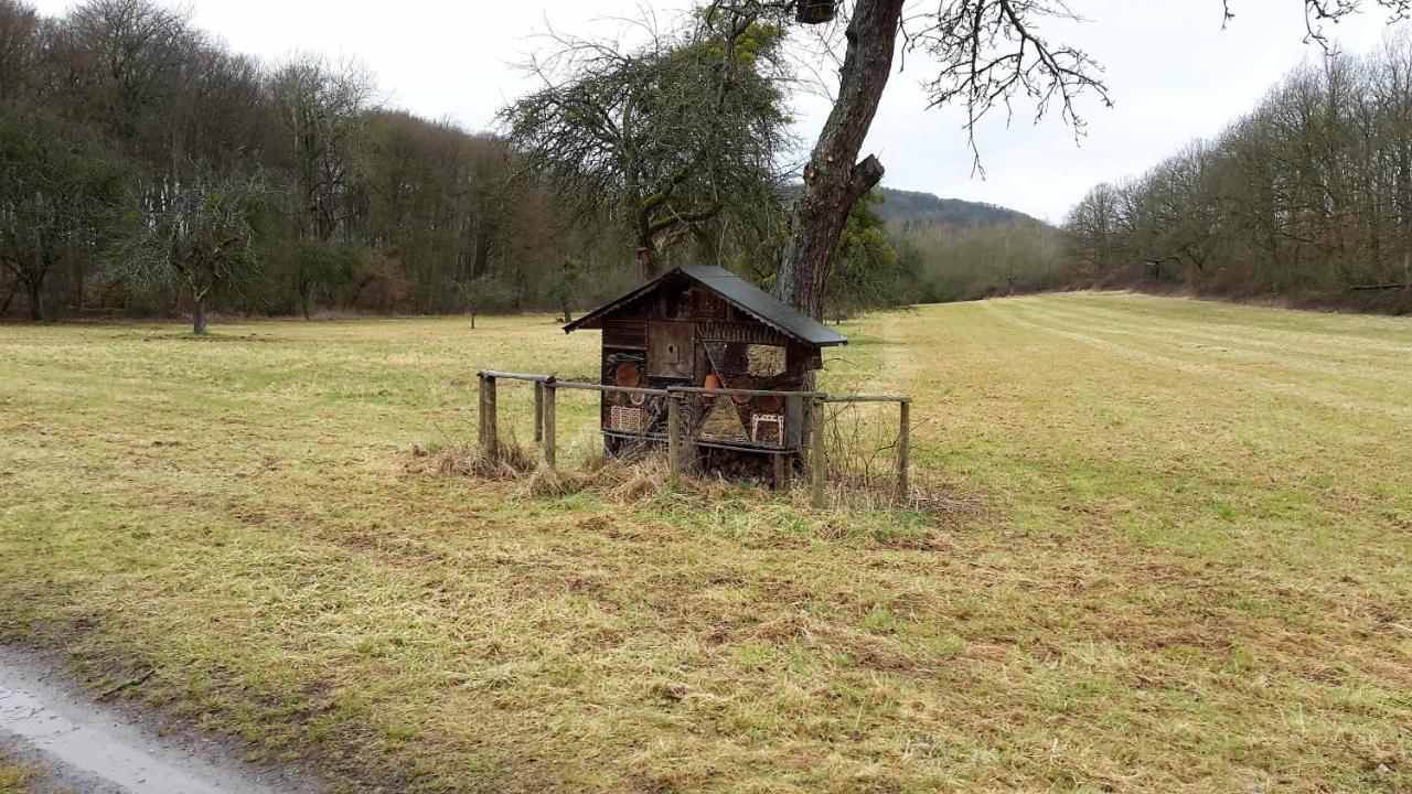 Haus Mit Seele Im Nahetal Weinsheim  المظهر الخارجي الصورة