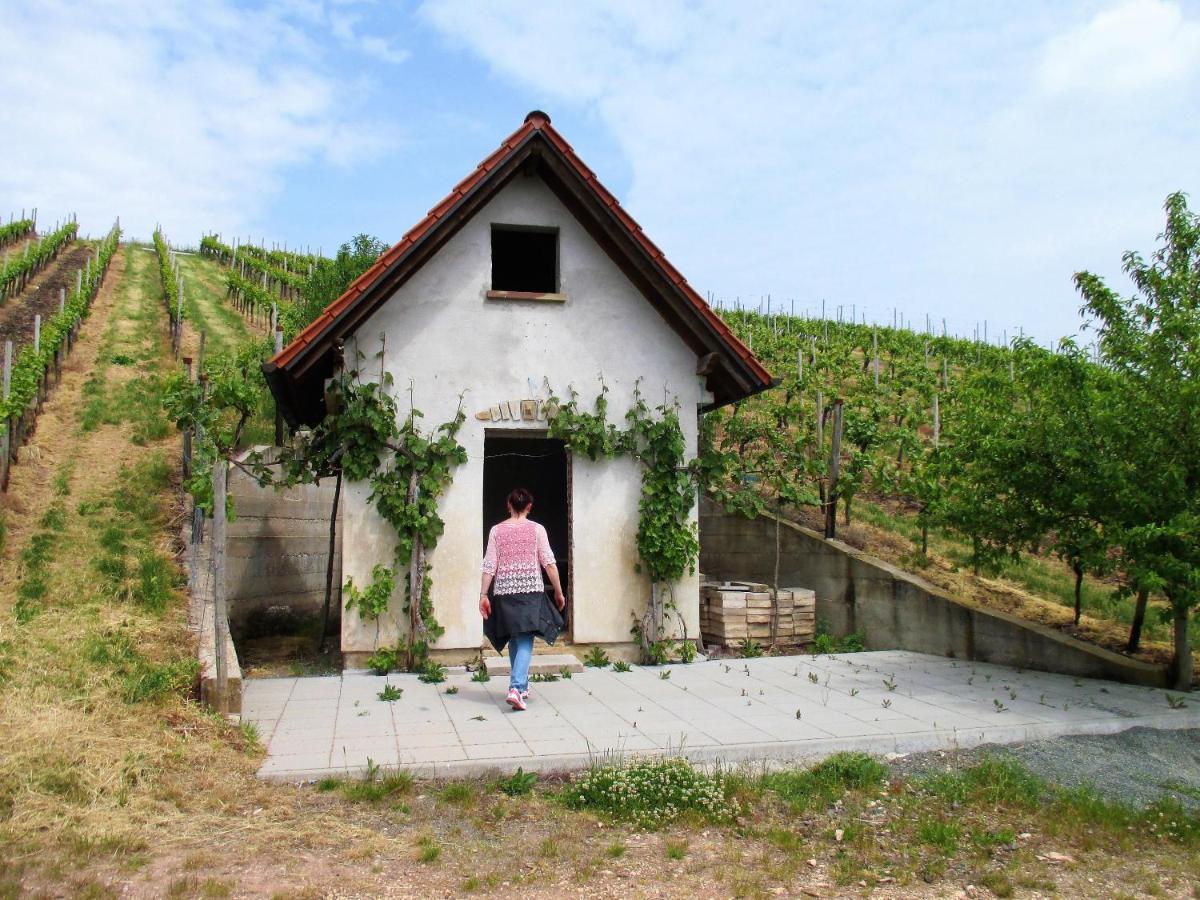Haus Mit Seele Im Nahetal Weinsheim  المظهر الخارجي الصورة