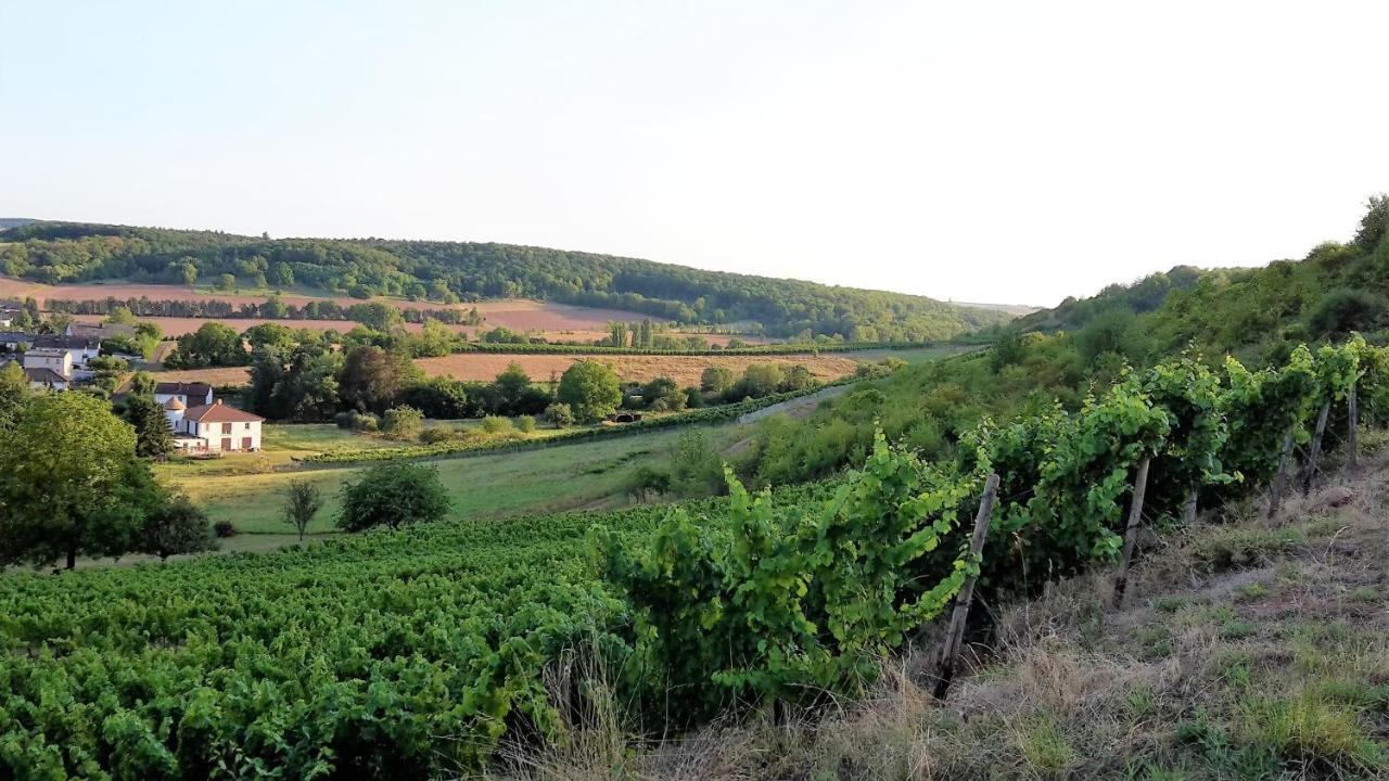 Haus Mit Seele Im Nahetal Weinsheim  المظهر الخارجي الصورة